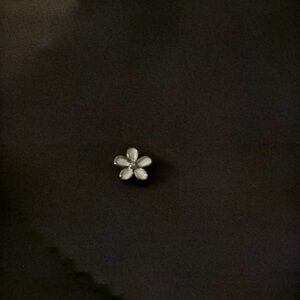 Petite daisy charm pandora